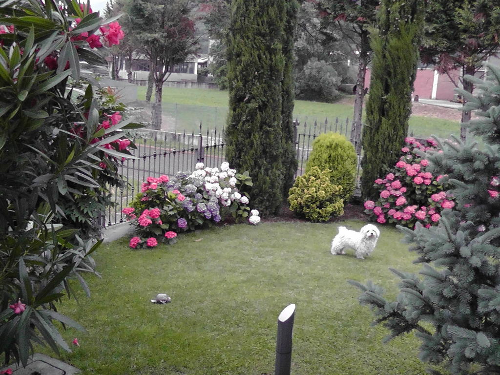 B&B I Viandanti Piancogno Luaran gambar